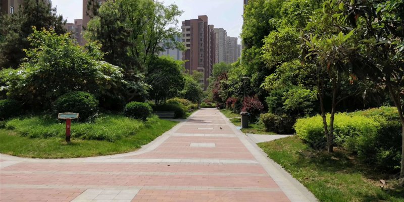 天地源枫林意树