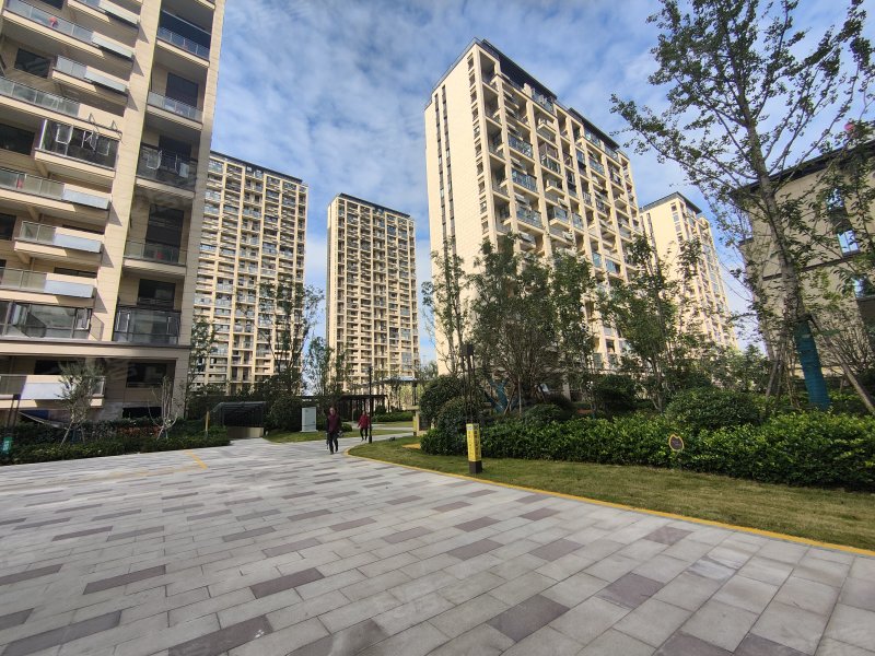 新松华鸿国樾府