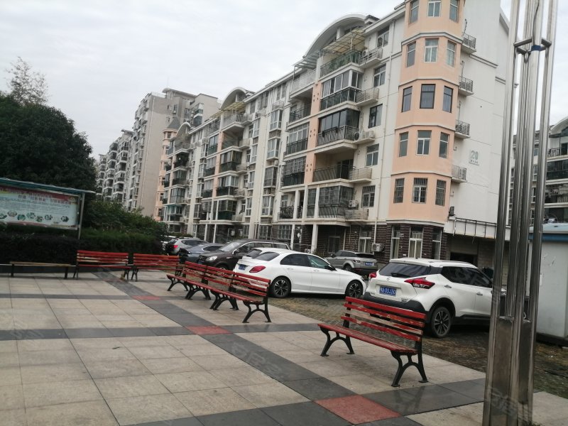 翠堤春晓(西区)