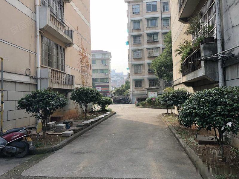 新都花园,董宅路268号-金华新都花园二手房,租房,房价-金华安居客