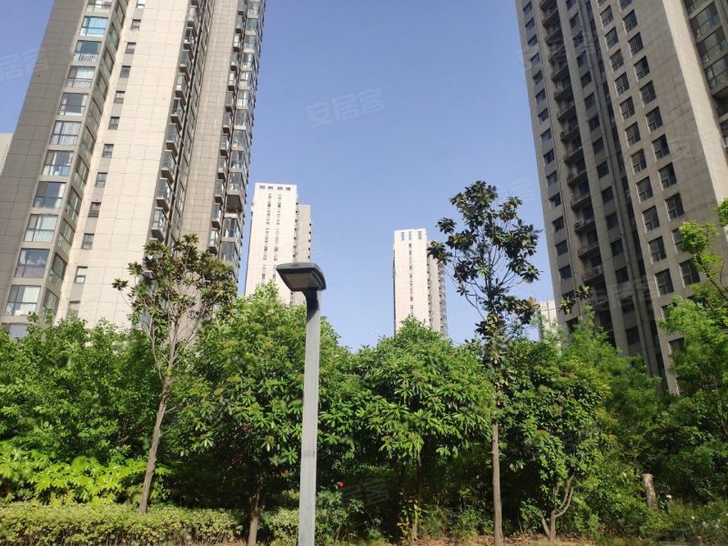 方圆经纬,桐柏北路,近棉纺路-郑州方圆经纬二手房,租房,房价-郑州安居