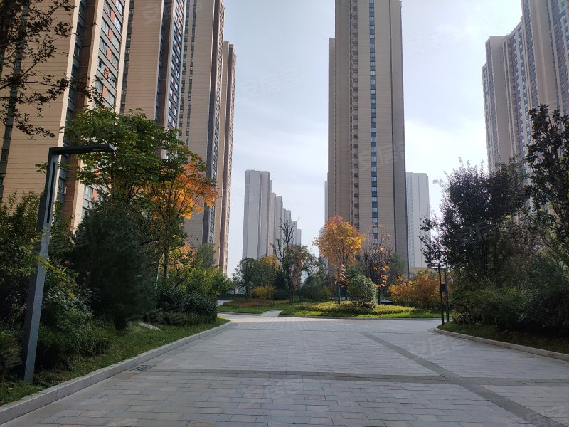 轩苑世家星城二期,陈仓大道,近光明东路-宝鸡轩苑世家星城二期二手房