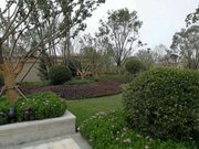 大白街小区图片