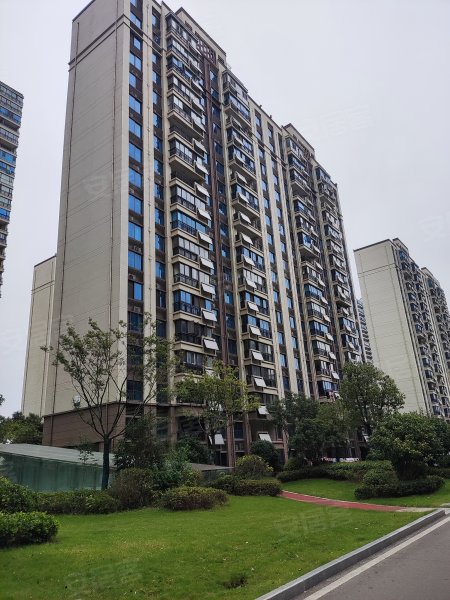 碧桂园银座小区