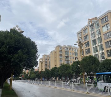 时代天骄