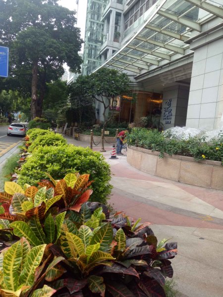 金海湾,滨江东路555号-广州金海湾二手房,租房,房价-广州安居客