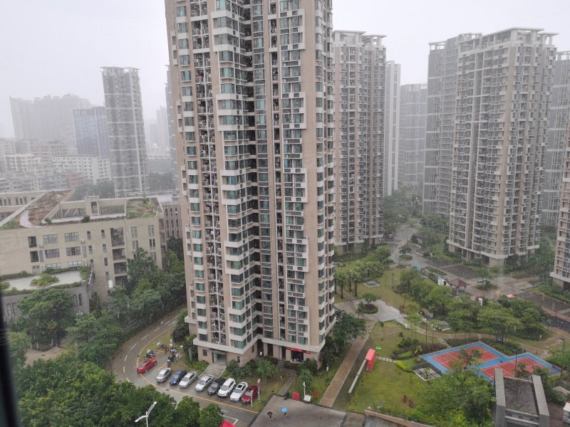 坪洲新村二三期