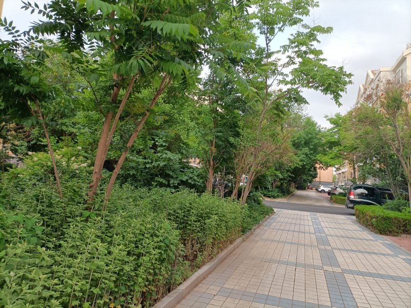 怡和家园,南一路286号-东营怡和家园二手房,租房,房价-东营安居客