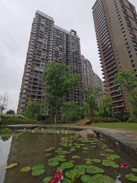 江岸景苑,会展路,近蒲江路-温州江岸景苑二手房,租房,房价-温州安居客