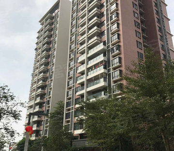 纯水岸 车位充足 有电梯 南向采光好 购物方便 满五