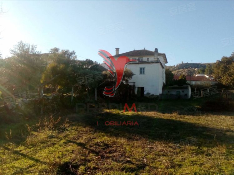 葡萄牙约¥96万小农场恢复二手房庄园图片