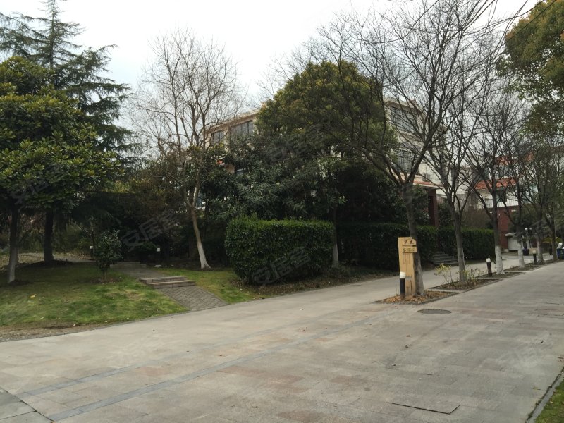 阳光欧洲城蔷薇绅邻