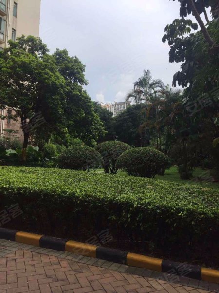 金碧雅苑,尖彭路-广州金碧雅苑二手房,租房,房价-广州安居客