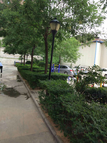 曲江大观园小区,芙蓉西路,近无名路-西安曲江大观园小区二手房,租房