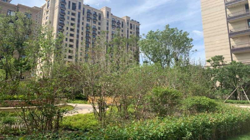 高新慧园,超强街,近创意路-长春高新慧园二手房,租房,房价-长春安居客