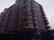 市区小区图片
