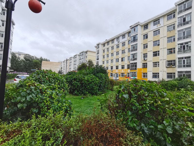 阳光花园,城乡路1号-齐齐哈尔阳光花园二手房,租房,房价-齐齐哈尔安居