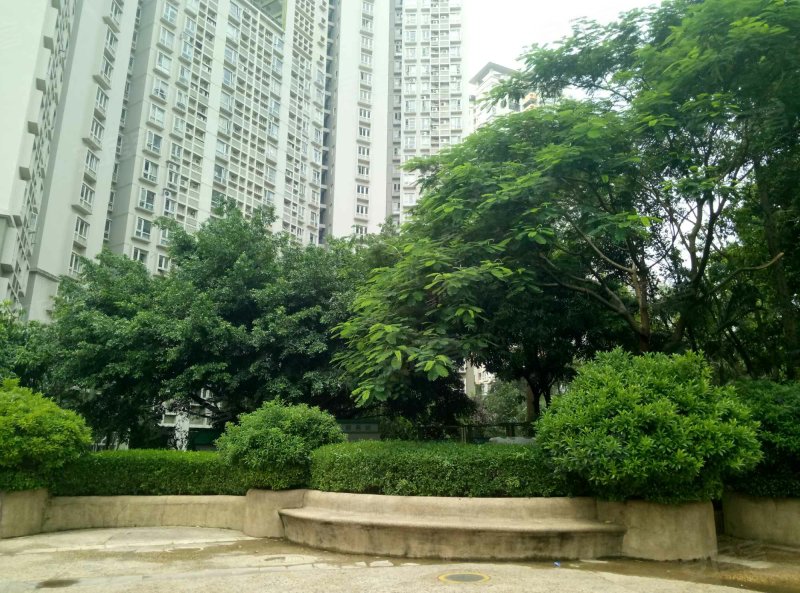 彩田村,莲花路1096号-深圳彩田村二手房,租房,房价-深圳安居客