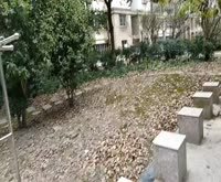 中集金地美兰城 