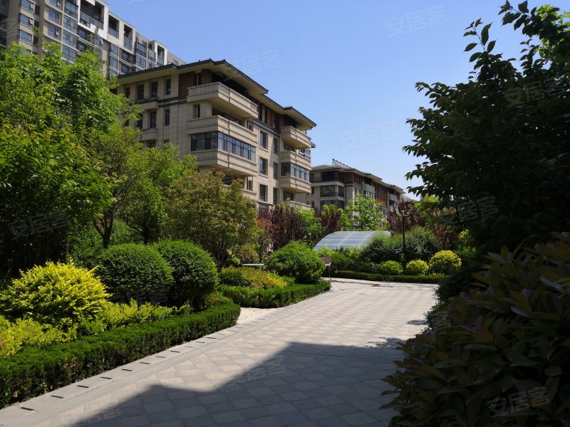 弘润金茂府,桐荫街99号-潍坊弘润金茂府二手房,租房,房价-潍坊安居客