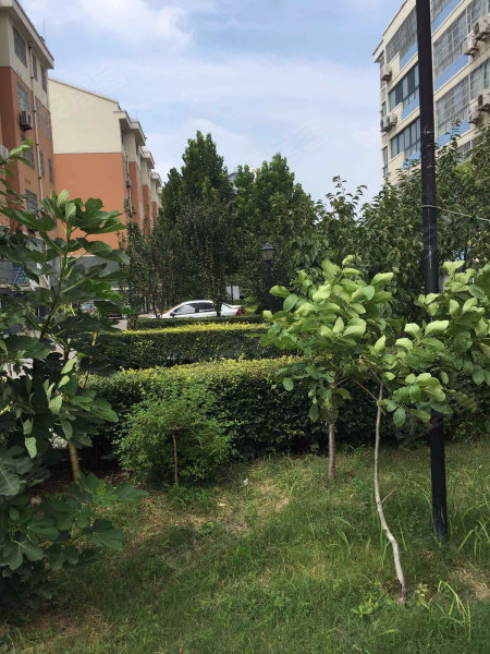 祥和苑(寿光),建新街131号-潍坊祥和苑(寿光)二手房,租房,房价-潍坊