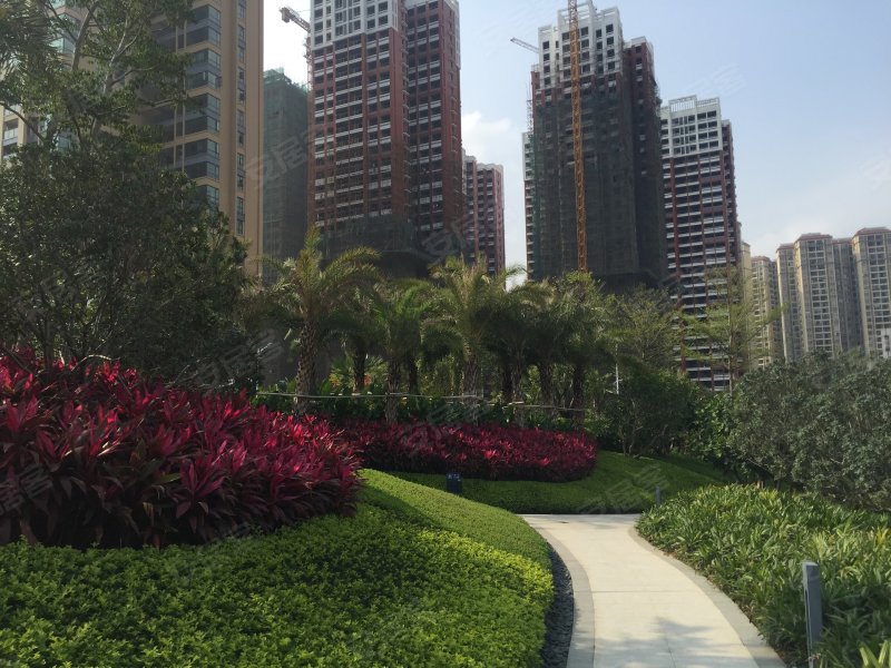 云星钱隆江景(江南)
