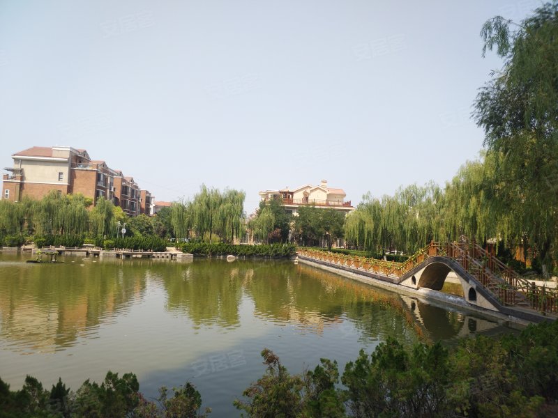 莱茵半岛(别墅)