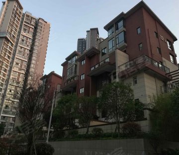 金龙星岛国际 双卫格局 近地铁 交通便捷 医疗配套成熟