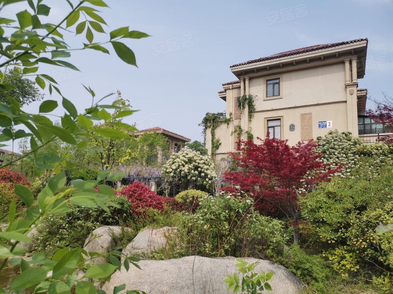 唐岛金湾(别墅)