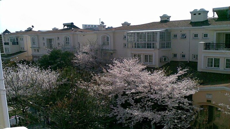 君临天下花园(别墅)