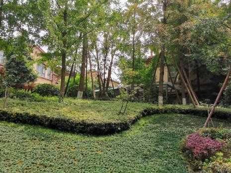 卧龙谷玖号(别墅),新建路299号-成都卧龙谷玖号(别墅)二手房,租房