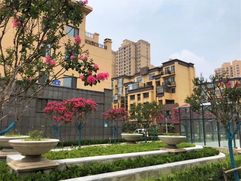 浞河6号,益新街,近渤海路-潍坊浞河6号二手房,租房,房价-潍坊安居客