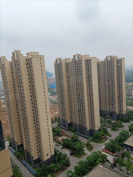 智苑小区,流港路100号-武汉智苑小区二手房,租房,房价-武汉安居客