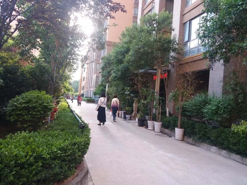 常春藤花园(南区),兴庆南路-西安常春藤花园(南区)二手房,租房,房价