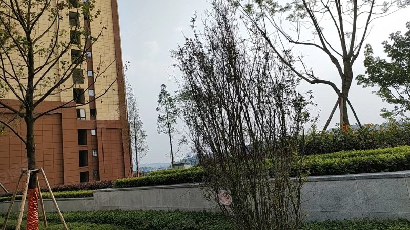 兆信金悦湾,安岳大道-资阳兆信金悦湾二手房,租房,房价-资阳安居客