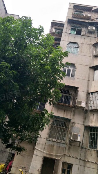 花园新村(东城)