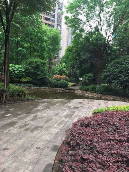 中交丽景,双龙路2号-重庆中交丽景二手房,租房,房价-重庆安居客