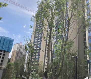 金科中泰天境B区