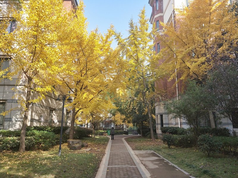 玫瑰名城橡树园