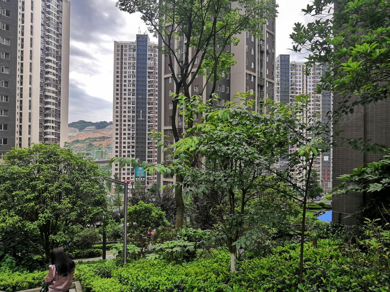 中天渔安新城e组团