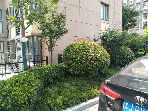 奥林春天,人民大道,近新城大道 - 射阳奥林春天二手房,租房,房价-射阳