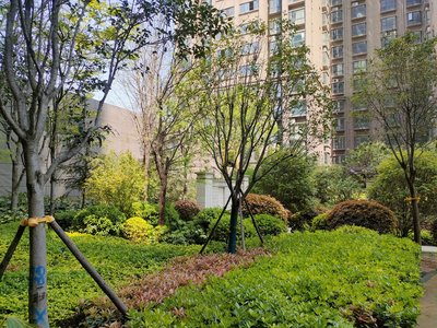 凤凰小区,亚兴路 - 平顶山凤凰小区二手房,租房,房价-平顶山安居客