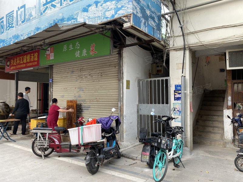 石亭小区,石亭路1-174号-厦门石亭小区二手房,租房,房价-厦门安居客
