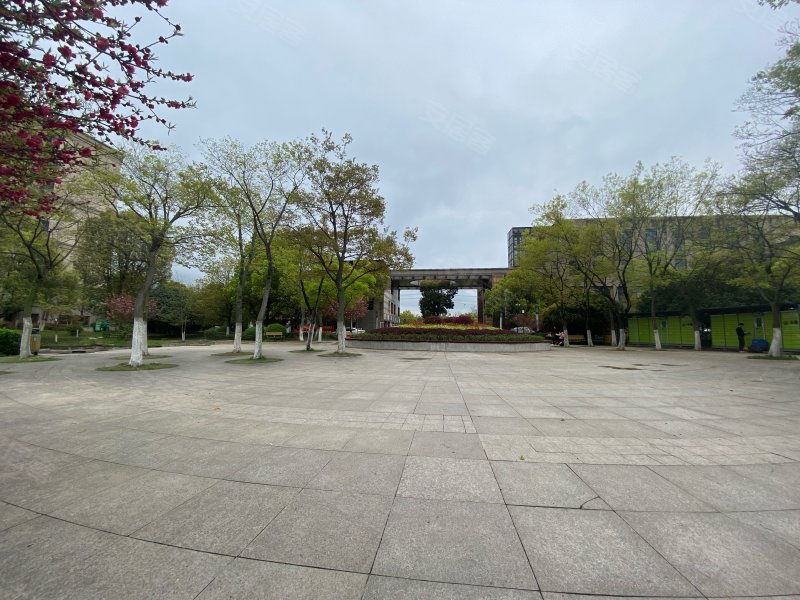 东华园,石门路388号-合肥东华园二手房,租房,房价-合肥安居客