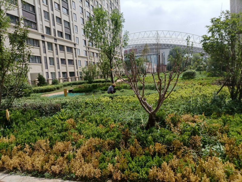 中海紫御华府(临渭区),高新东路35号-渭南中海紫御华府(临渭区)二手房