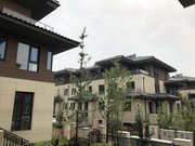 大王古庄镇小区图片