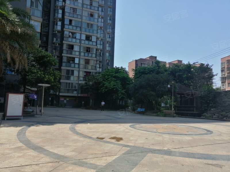滨江首座(顺庆),滨江中路一段407号-南充滨江首座(顺庆)二手房,租房