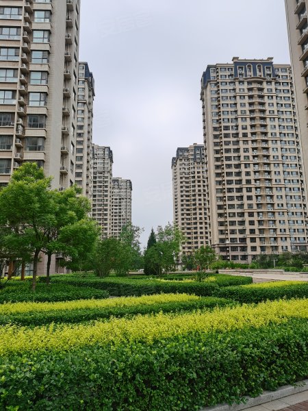 塞纳左岸,九河西路-沧州塞纳左岸二手房,租房,房价-沧州安居客