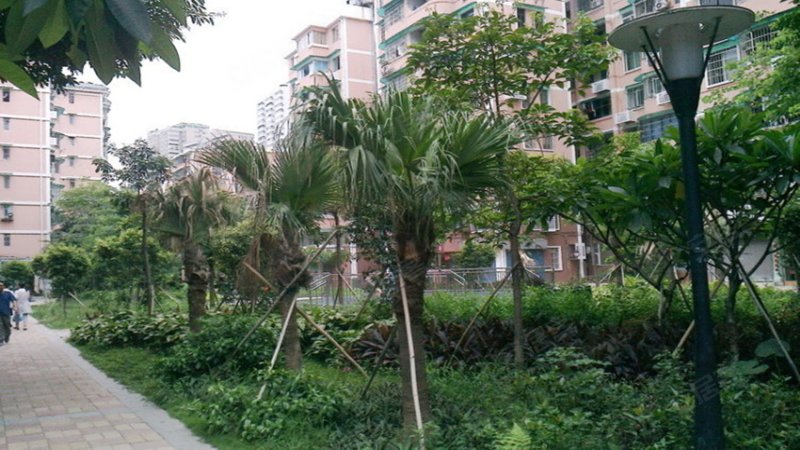 海景蓝湾(北区),港口路-佛山海景蓝湾(北区)二手房,租房,房价-佛山