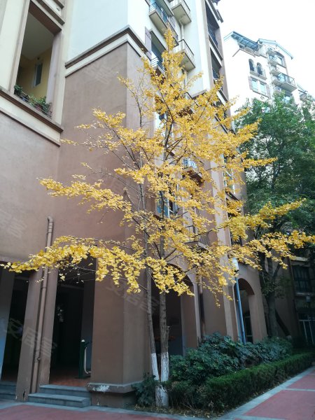 万科双水岸(别墅)